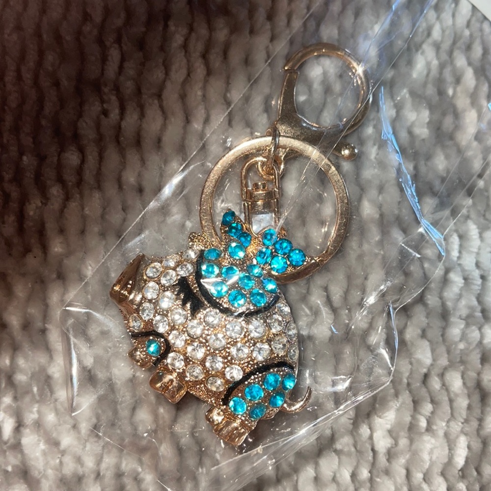 Cute Piggy 🐷 Keychain